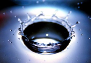 goutte