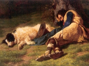 sleeping_shepherd