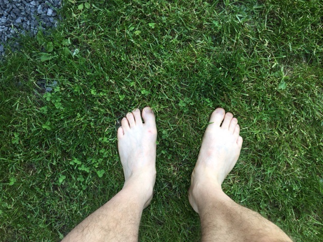 pieds