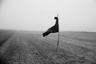 31062223_10155593023054952_8668365303324868608_o